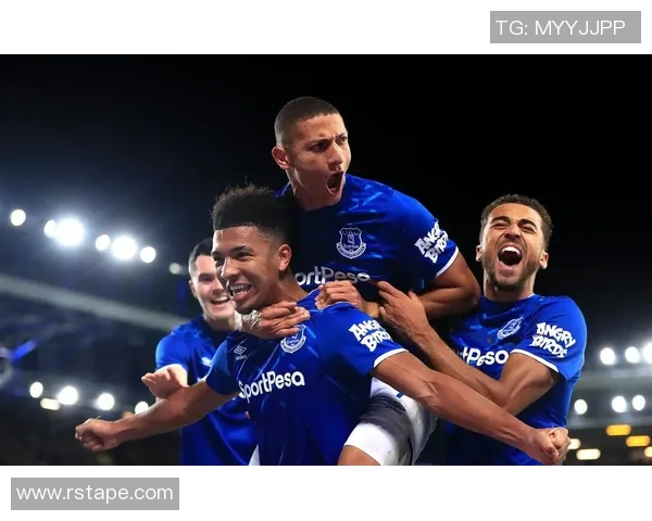 2018年12月布莱顿主场迎战埃弗顿精彩对决回顾与分析